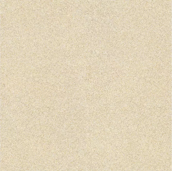 BUTTER SCOTCH view 2